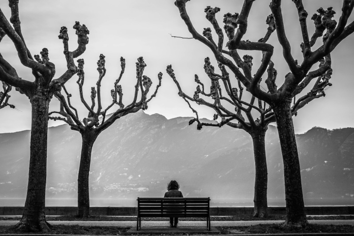 A person sitting on a park bench in between two trees.