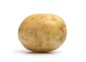 Potato