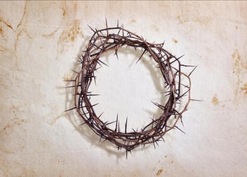 crown of thorns