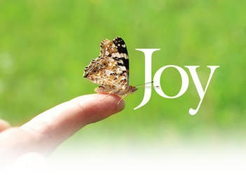 Joy in a Butterfly!