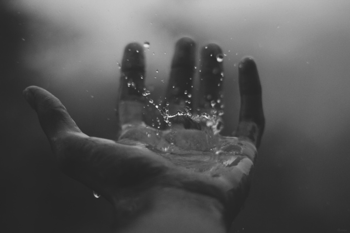 A hand in the water.