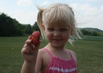 Our First Strawberry