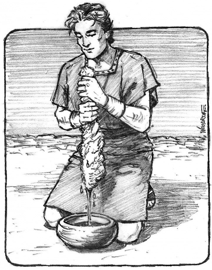 Illustration of Gideon squeezing the dew out of piece of wool.