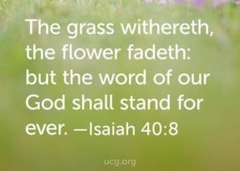 The grass withers, the flower fades: but the word of our God shall stand forever