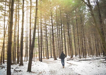Person walking through woods during the winter.