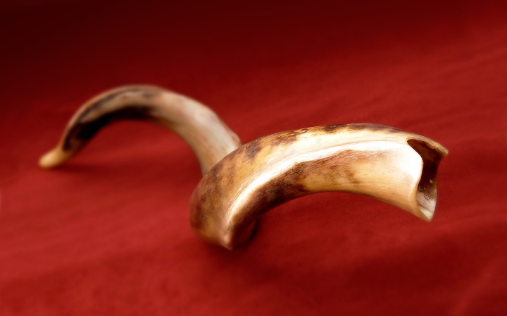 Shofar