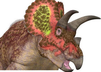 Artist rendition of a Triceratops.