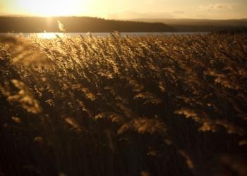 Crop at sunset - What Do the Holy Days Mean for Christians Today?