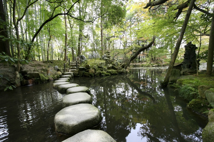 Stepping stones over a small pond.