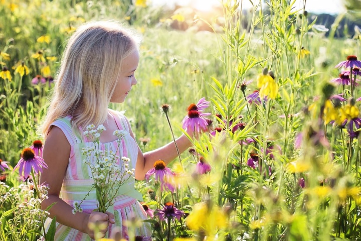 a little girl wearing a dress and standing in a field of pink wildflowers, a bunch of white flowers clasped in one hand