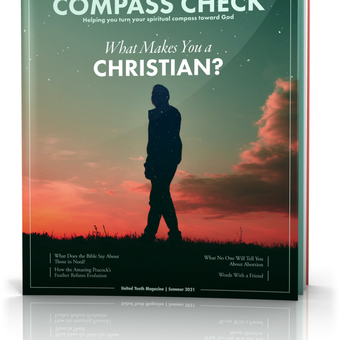 Compass Check Summer 2021 Cover, Tilted