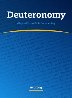 Deuteronomy Bible Commentary