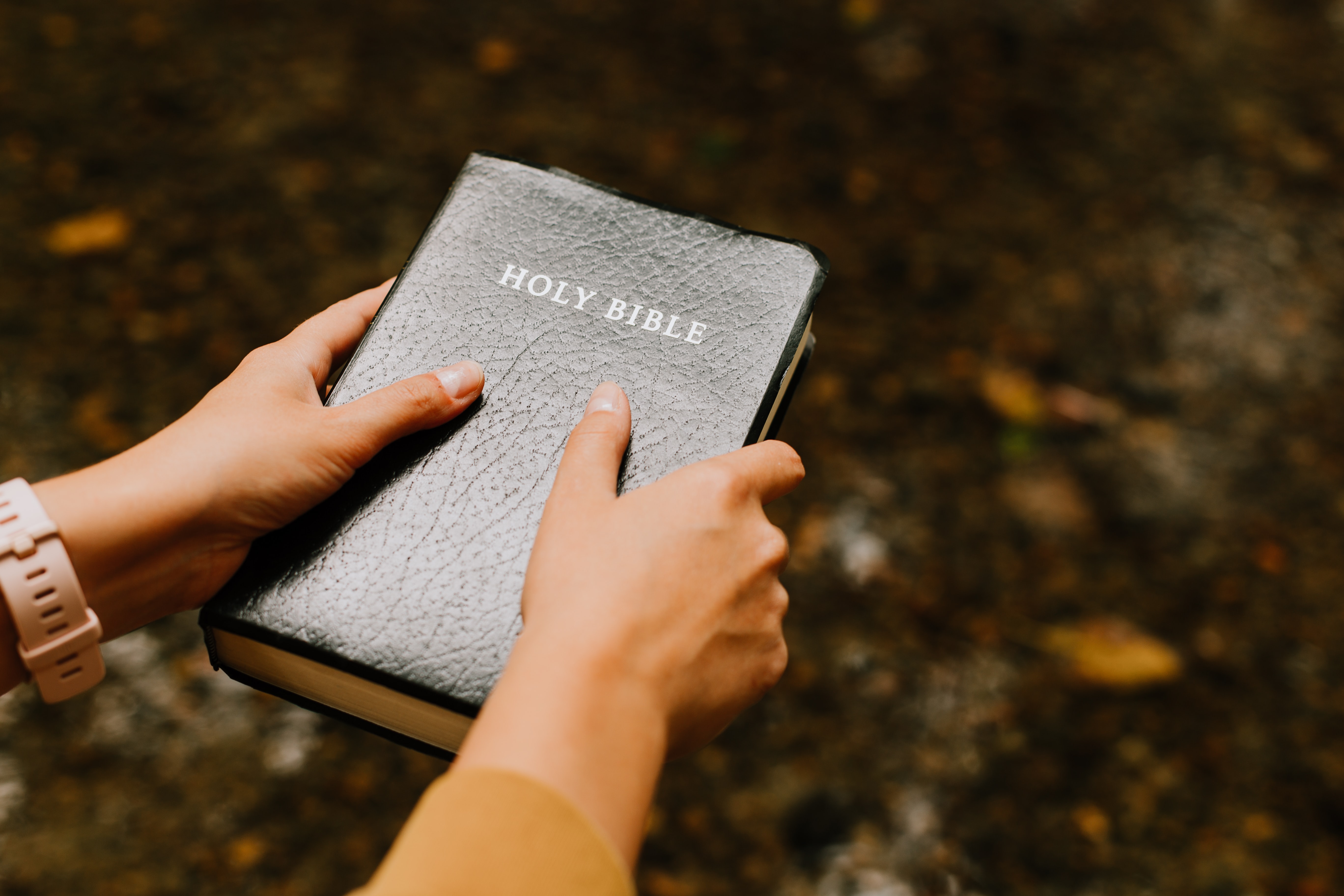 A person holding a Bible