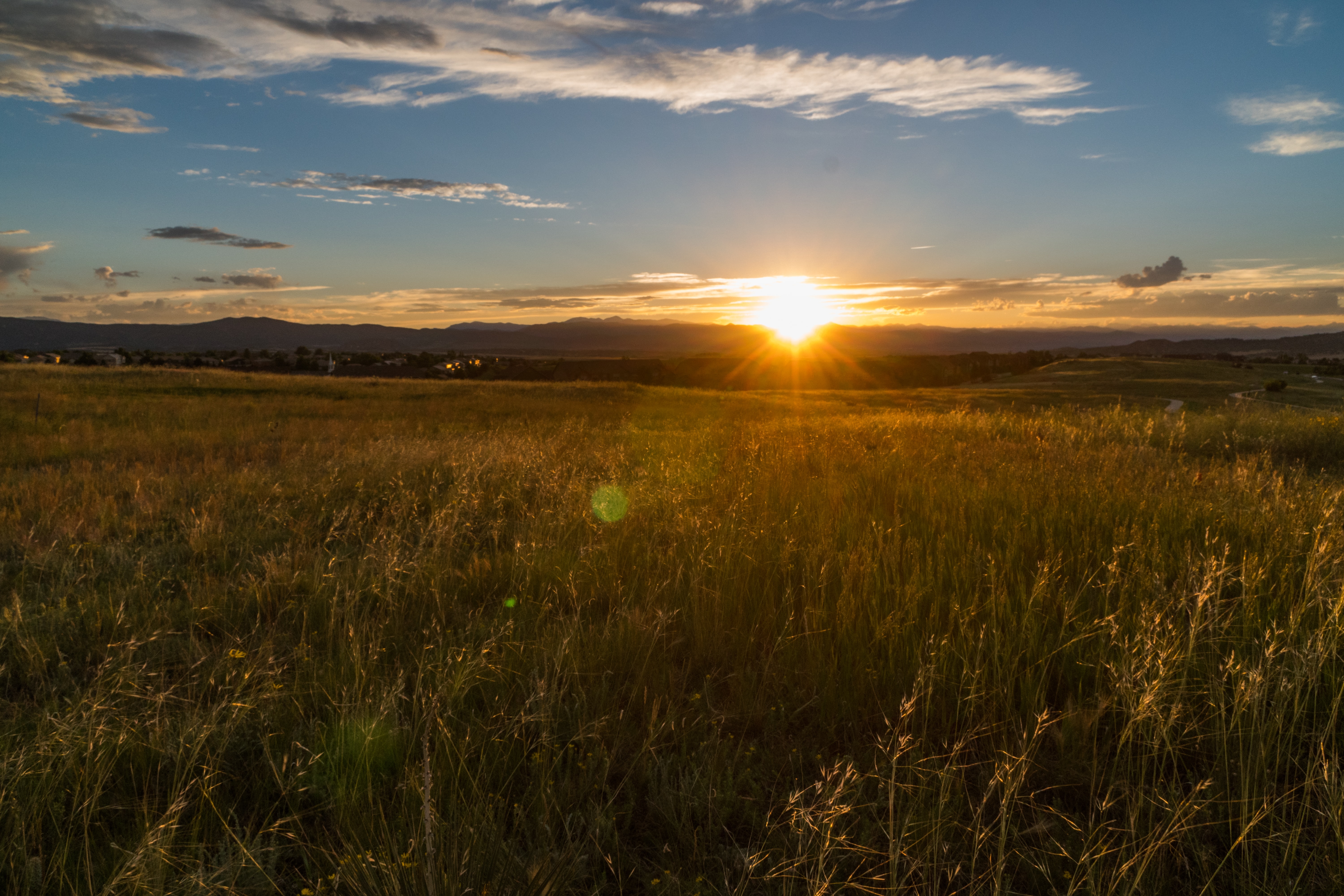 A sunset over a wheat field.